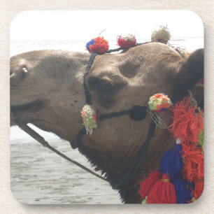 Oman Muscat Camel Photo Art Print Coaster