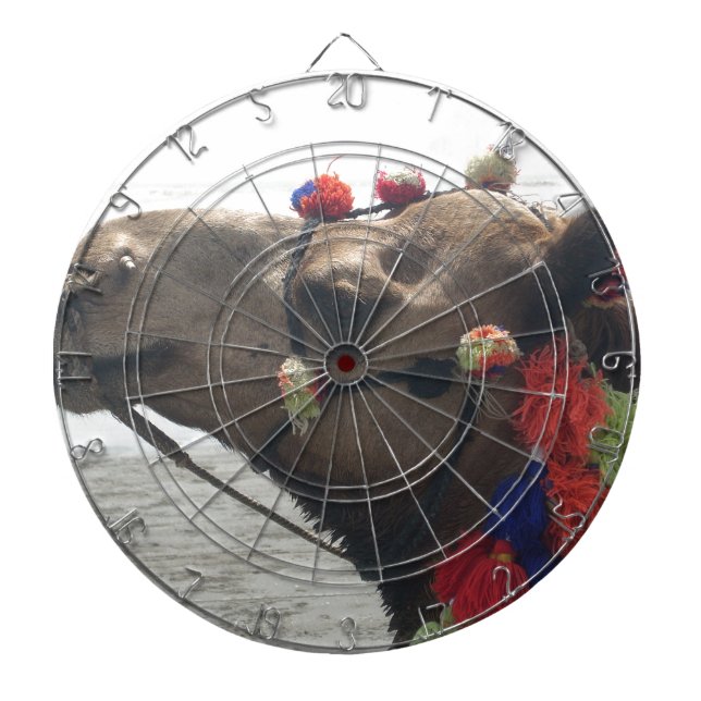 Oman Muscat Camel Photo Art Print Dartboard (Front)