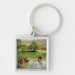 Oman, Wadi darbat Keychain