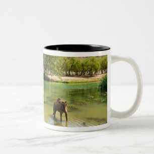 Oman, Wadi darbat Two-Tone Coffee Mug