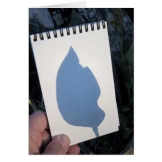 Ombre 2014 de feuille