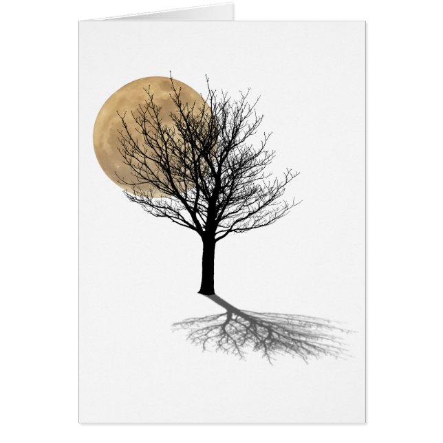 Ombre de la lune (Devant)