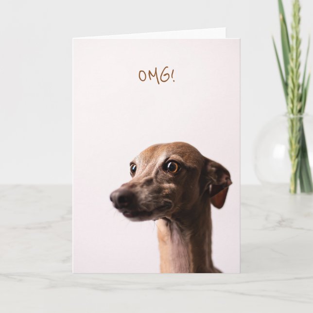 OMG dog card (Front)