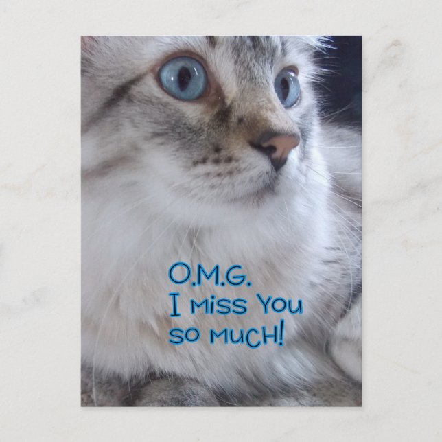 OMG i miss You Postcards (Front)