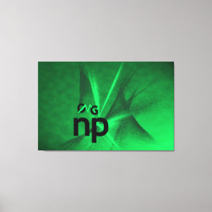 OMG! np Canvas Print