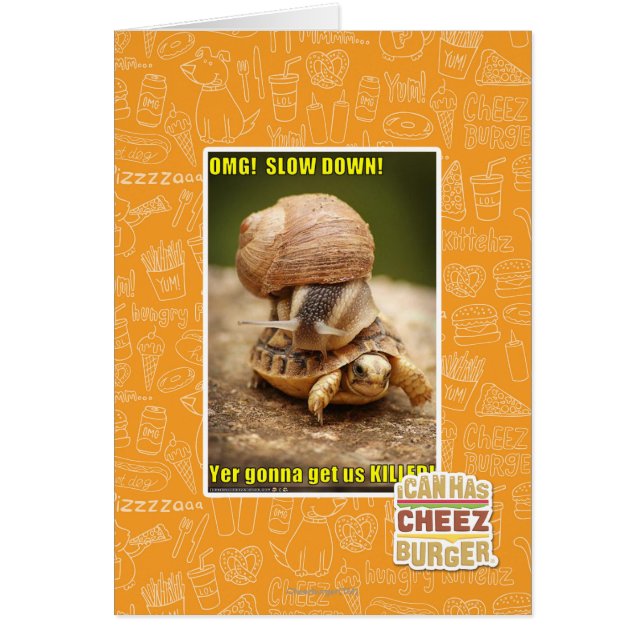 OMG! Slow down! (Front)