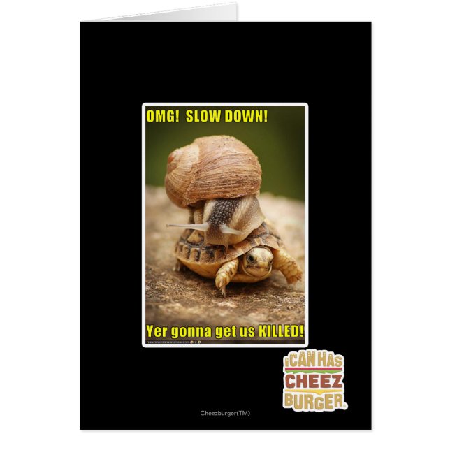 OMG! Slow down! (Front)