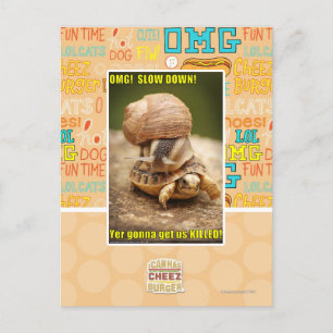 OMG! Slow down! Postcard