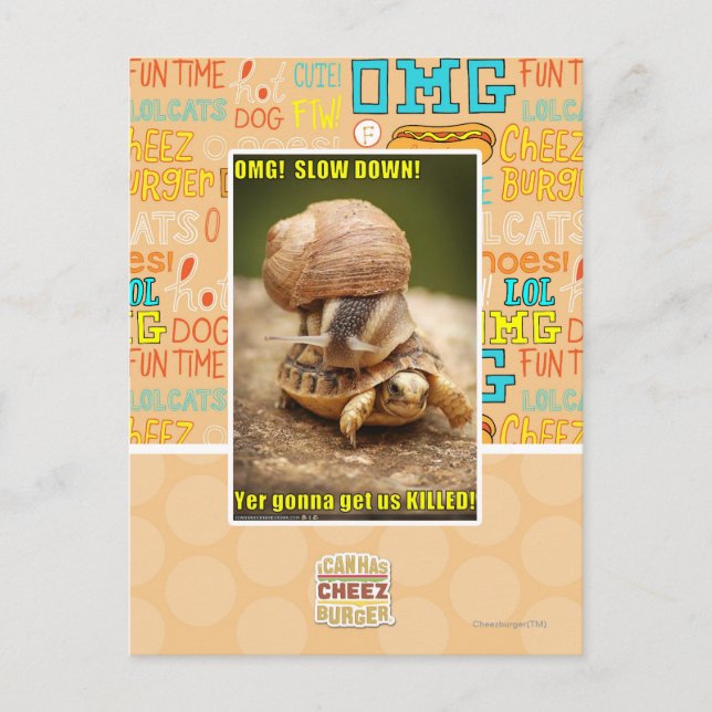 OMG! Slow down! Postcard (Front)