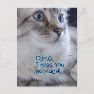 OMG Vous me manquez Cartes postales