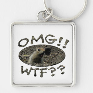 OMG WTF Gopher Keychain