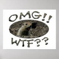 OMG WTF Gopher