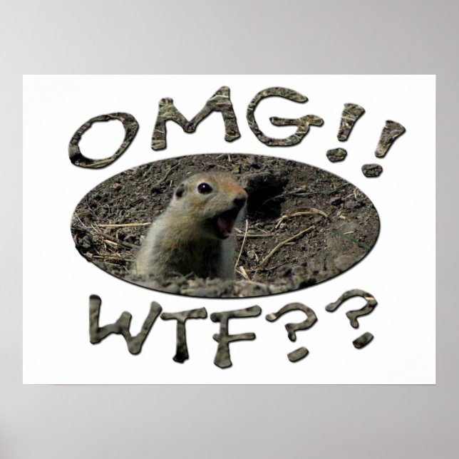 OMG WTF Gopher Poster (Front)