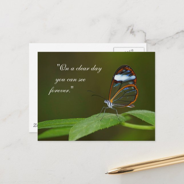 "On a Clear Day" Glasswing Butterfly Design Postcard (Front/Back In Situ)