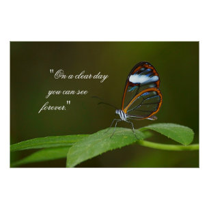 "On a Clear Day" Glasswing Butterfly Poster