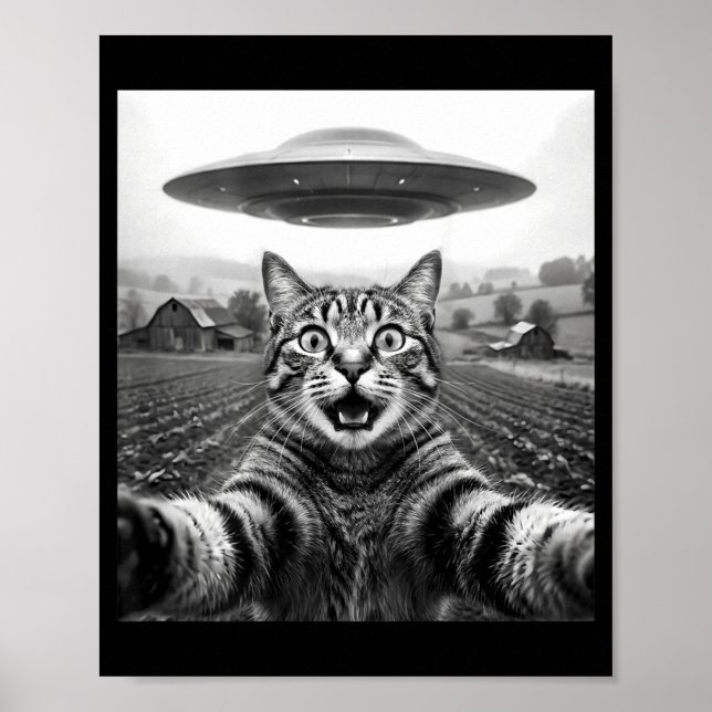 On Back Cat Selfie Alien Ufo Poster (Front)