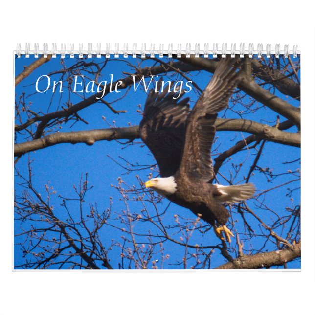 On Eagle Wings Calendar (Cover)