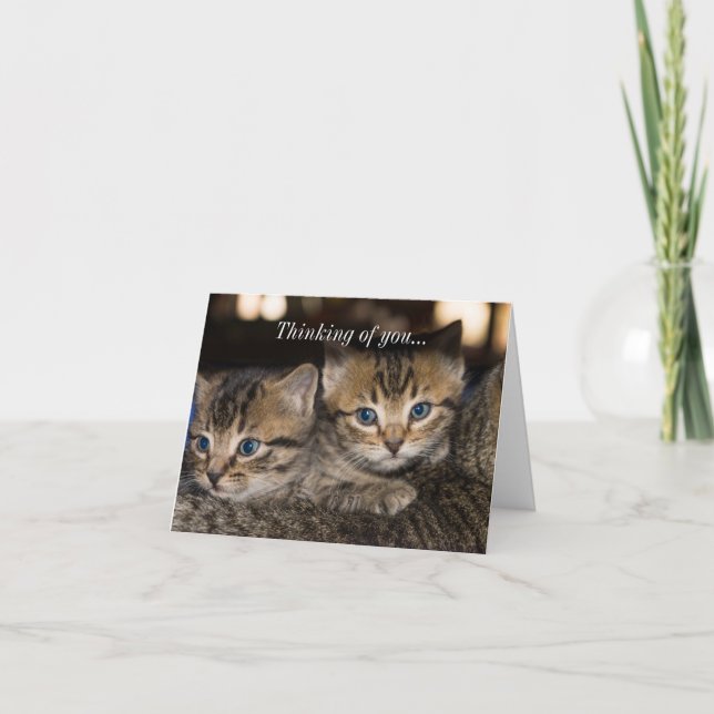 On Momma's Back Thinking Of You Card (Front)