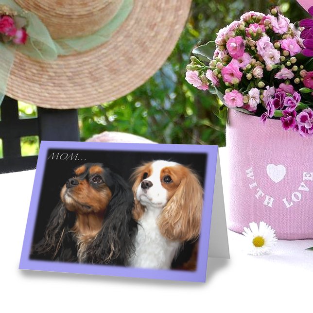 On Mothers Day Two Cavalier King Charles Spaniel Card (Creator Uploaded)