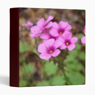 On My Doorstep Binder
