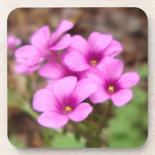 On My Doorstep Cork Coaster (Front)