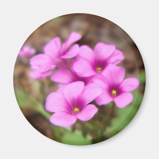 On My Doorstep Magnet (Front)