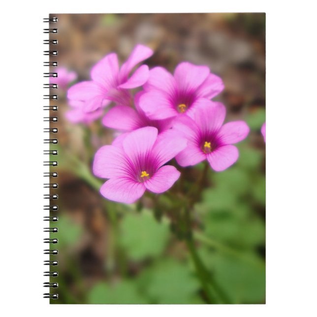 On My Doorstep Notebook (Front)