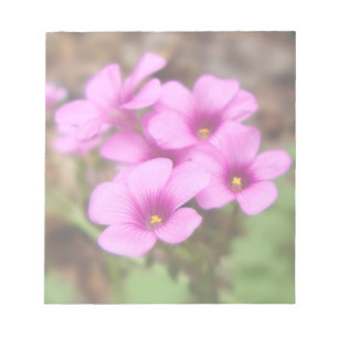 On My Doorstep Notepad