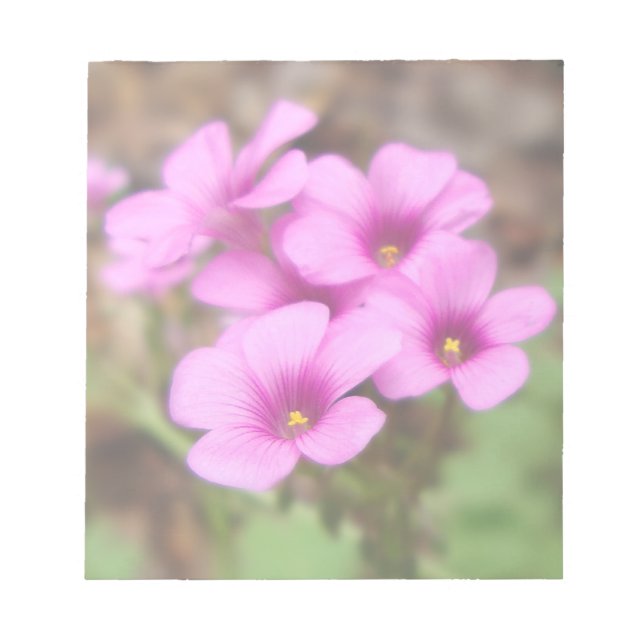 On My Doorstep Notepad (Front)