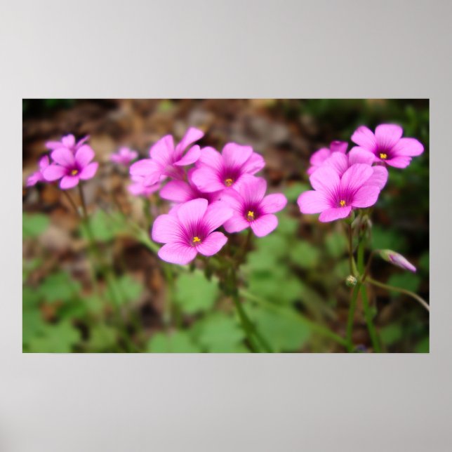 On My Doorstep Print (Front)