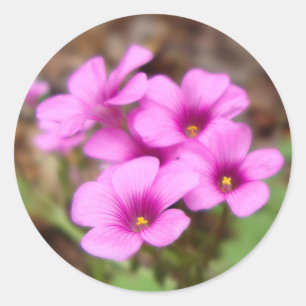 On My Doorstep Stickers