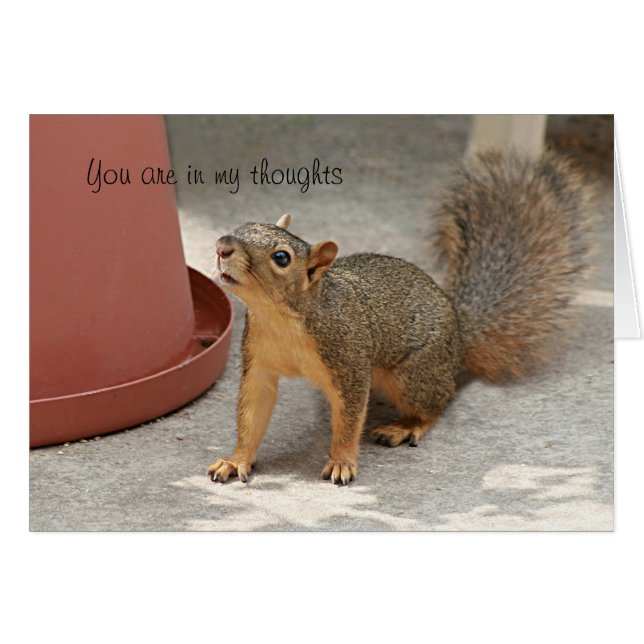 On my Mind (Front Horizontal)