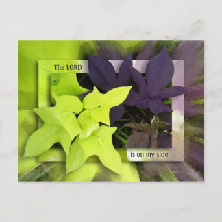 On My Side Postcard