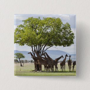 On safari in Mikumi National Park in Tanzania, 2 Inch Square Button