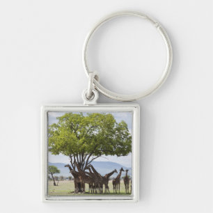 On safari in Mikumi National Park in Tanzania, Keychain