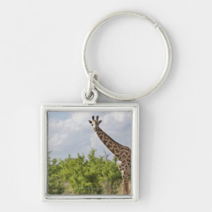 On safari in Tanzania, Africa. 2 Keychain