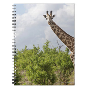 On safari in Tanzania, Africa. 2 Notebook