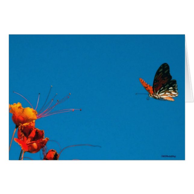 ON SHORT FINAL 2nov06 3 (Front Horizontal)