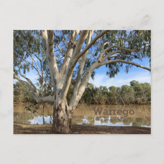 On the Banks of the Warrego Holiday Postcard
