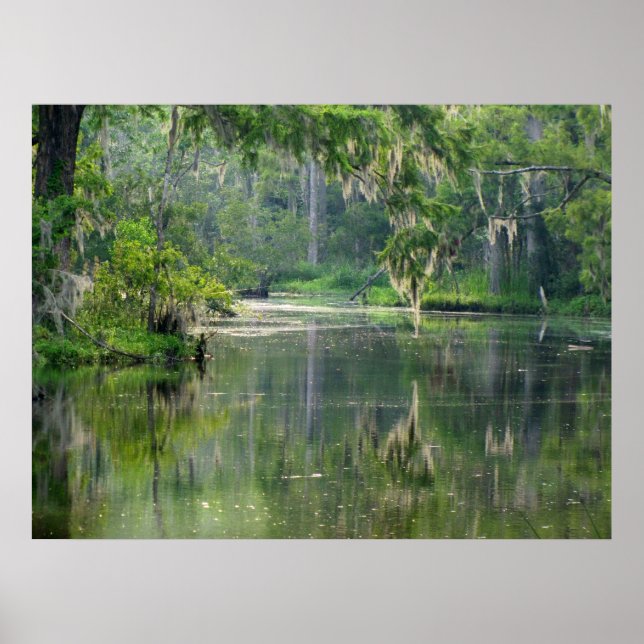 On the Bayou Poster (Front)