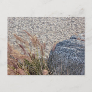 on the beach postcard