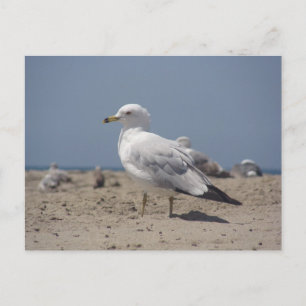 On the beach postcard