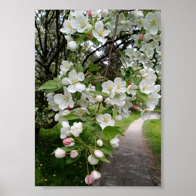 On the Boughs of Blossoms Poster (Front)