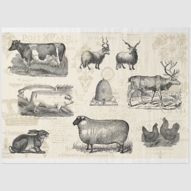On The Farm French Farmhouse Mono Decoupage Tissue Paper (Front)