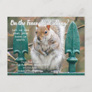 On the Fence Real estate squirrel wildlife  Postcard