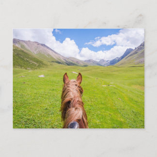 On the horse back postcard