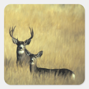 On the Lookout Mule Deer Square Sticker