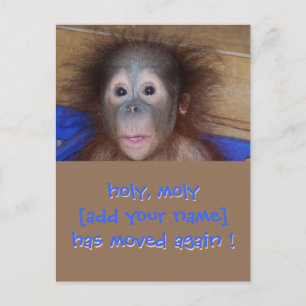 On the Move New Address Announcement Postcard