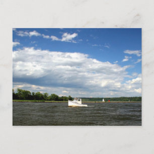 On the River Postcard