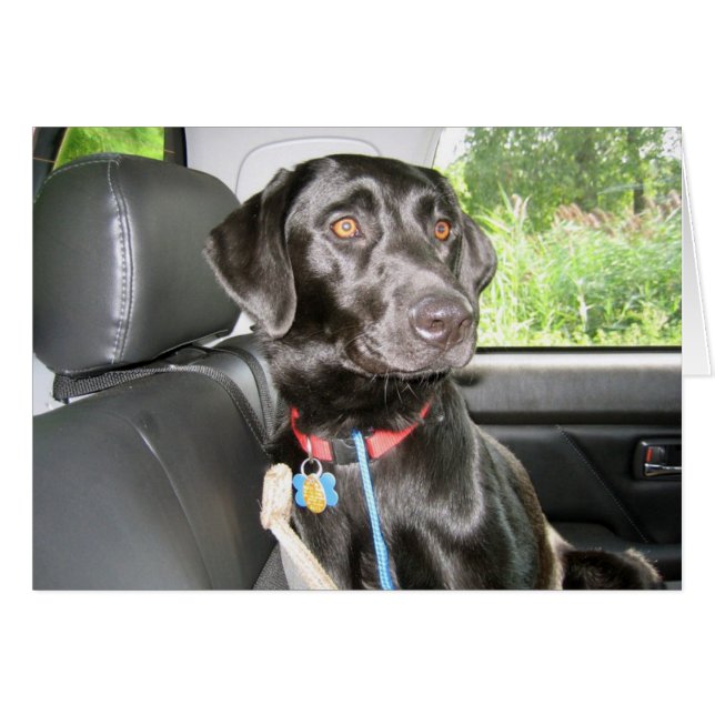 On the Road Again (Front Horizontal)